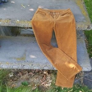Padagonia Corduroy Pants